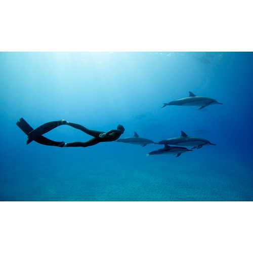 Advanced Freediver (Excl Material)